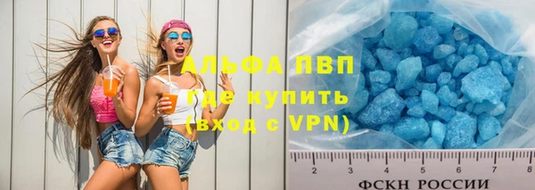 гашик Богданович