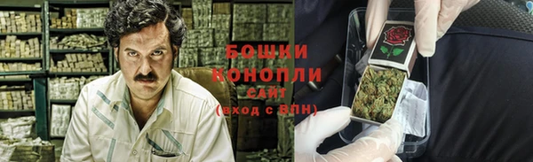 mdpv Богородицк