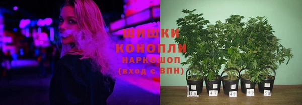 крисы Богородск