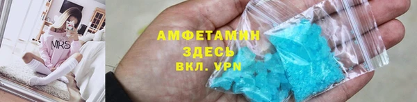гашик Богданович