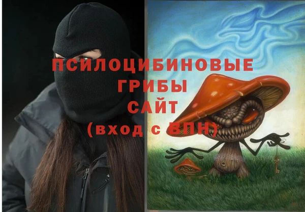 гашик Богданович