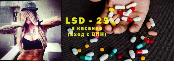 гашик Богданович