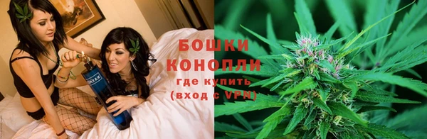 гашик Богданович