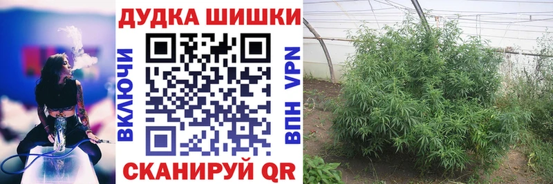 цена   Бирюсинск  МАРИХУАНА Amnesia 