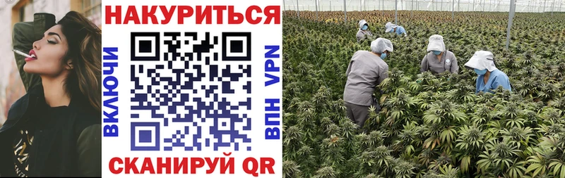 Марихуана планчик Бирюсинск